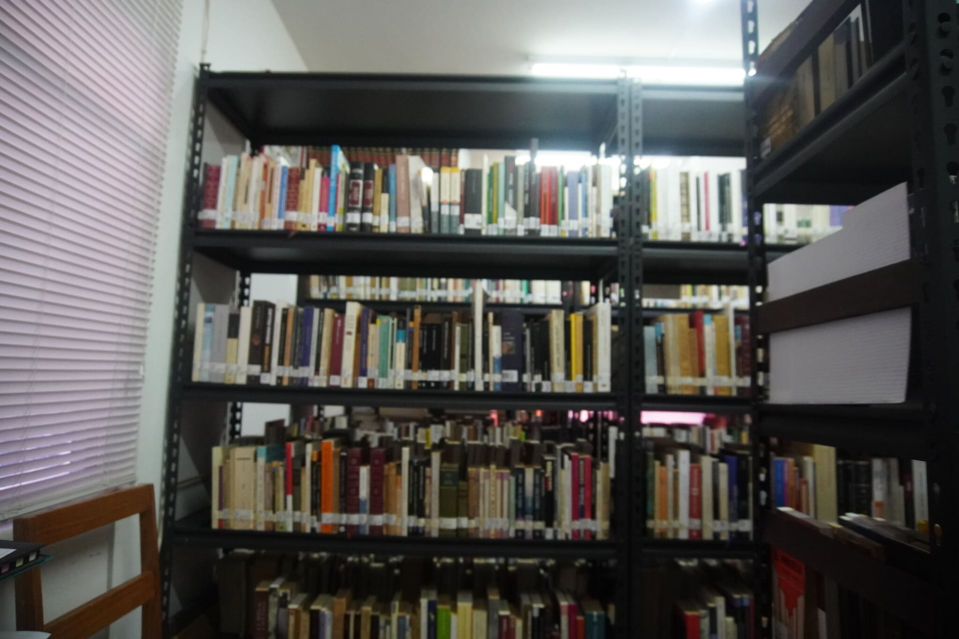 Ventanal con luz natural en la biblioteca