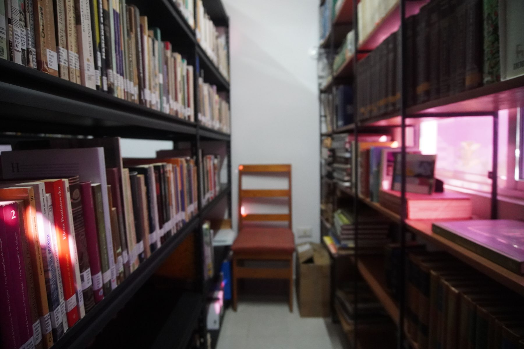 Rincón de la biblioteca con luz rosa